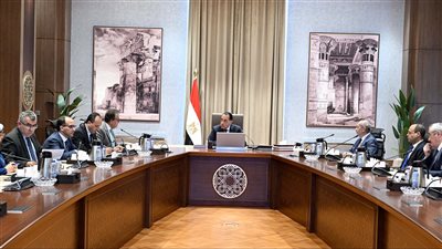 رئيس الوزراء يتابع تطوير 