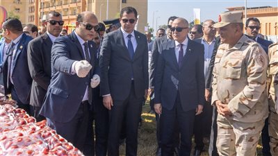 صندوق تحيا مصر يطلق فعاليات 