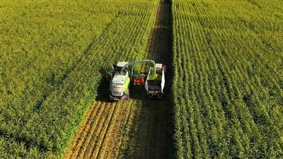 البنك الأوروبي لإعادة الإعمار والتنمية: 5 ملايين يورو من إيطاليا لدعم انتقال مصر إلى الزراعة المستدامة