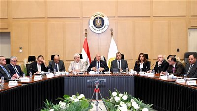 المجموعة الوزارية للتنمية الصناعية توافق على مشروع إطارات بـ300 مليون دولار