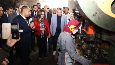 منال عوض ومحافظ قنا يتفقدان المنطقة الصناعية بقفط ويزوران مصانع الصناعات المعدنية