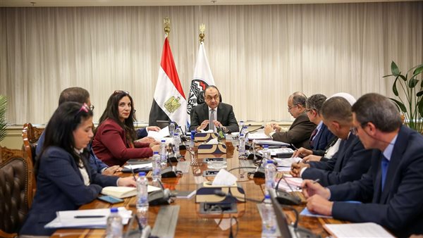 وزير قطاع الأعمال