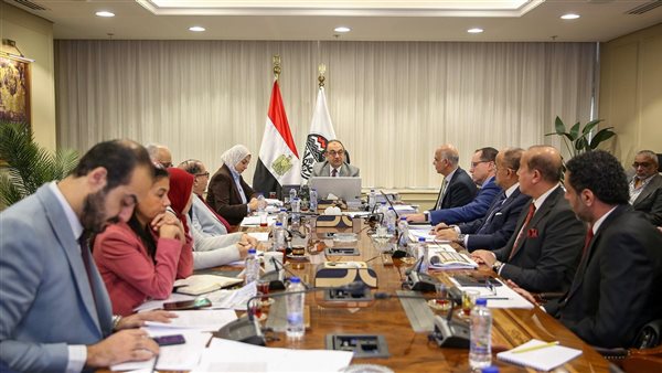 وزير قطاع الأعمال