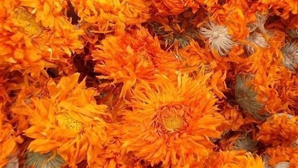 الكلانديولا