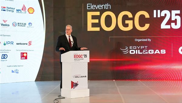 المهندس كريم بدوي