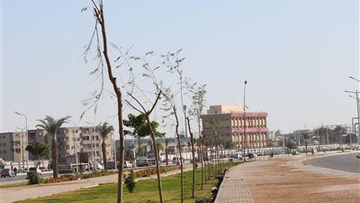 انطلاق المرحلة الرابعة من المبادرة الرئاسية «100 مليون شجرة» بمحافظة السويس
