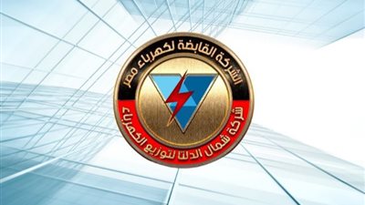 خدمة جديدة للمواطنين.. توصيل التيار الكهربائي لمنطقة بن زيد بالدقهلية