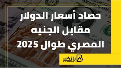 حصاد أسعار الدولار مقابل الجنيه المصري طوال 2025 | إنفوجراف