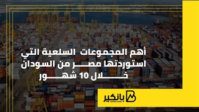 أهم المجموعات السلعية التي استوردتها مصر من السودان خلال 10 شهور |إنفوجراف 