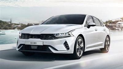 رياضية واقتصادية في نفس الوقت.. إزاي كيا عملت المعادلة دي؟