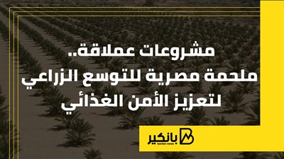 مشروعات عملاقة.. ملحمة مصرية للتوسع الزراعي لتعزيز الأمن الغذائي