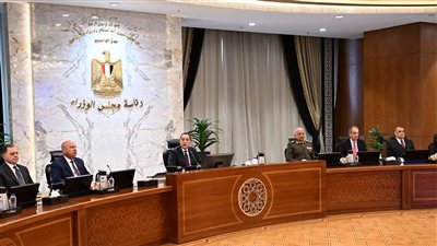 8 قرارات مهمة لمجلس الوزراء.. اعرف التفاصيل