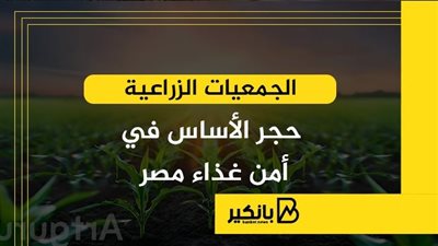 الجمعيات الزراعية.. حجر الأساس في أمن غذاء مصر