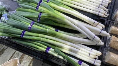 بأقل التكاليف وأعلى الأرباح.. كيف أصبح 