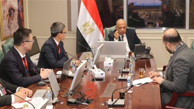 عصمت: إنشاء أول مصنع لتوربينات الرياح في مصر خطوة لتعزيز الاعتماد على المنتج المحلي