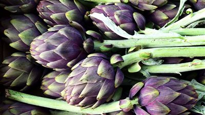 مطلوب عالميا.. 5 أسباب وراء الطفرة الكبيرة في إنتاج الخرشوف المصري