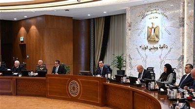 7 قرارات حكومية لدعم الاستثمار وتوطين الصناعة وتعزيز التنمية المستدامة