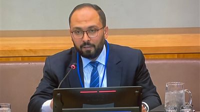 مصر تقود الجهود الدولية لإعادة صياغة النظام الضريبي العالمي في الأمم المتحدة