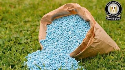 مجلس الوزراء يوضح حقيقة نقص التقاوي والأسمدة المعتمدة لزراعة القمح بالمنافذ الرسمية