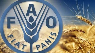 أسعار الغذاء العالمية تنخفض للشهر الثاني بدعم من تراجع الحبوب والزيوت