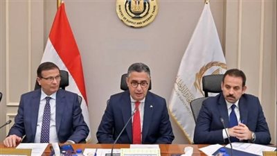 استيراد دواجن مجمدة وطرحها بالمنافذ قبل  رمضان لتعزيز المعروض وضبط الأسواق