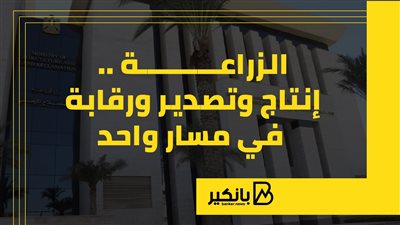 الزراعة.. إنتاج وتصدير ورقابة في مسار واحد (إنفوجراف)