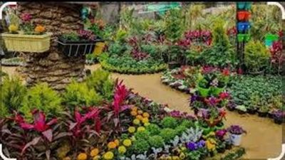 غنى له محمد فوزي.. 50 شركة تحجز مساحتها في معرض الزهور قبل الانطلاق