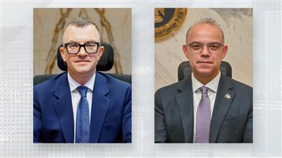 وزارتا الاستثمار والتخطيط تطلقان تقرير مراجعة خصائص الاستثمار الأجنبي المباشر في مصر