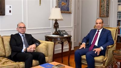 وزيرا الخارجية والاستثمار يبحثان تكثيف التعاون لجذب الاستثمارات الأجنبية والتوسع بالأسواق الإفريقية