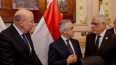 القضاء المصري على أعتاب مستقبل رقمي.. تطبيق أعلى معايير أمن المعلومات 