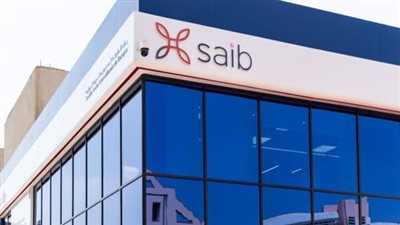 بنك سايب- أرشيفية     