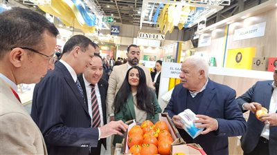 مصر تشارك بـ99 شركة في «فروت لوجستيكا 2026» ببرلين لتعزيز الصادرات (فيديو)