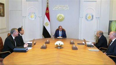 السيسي يوجه بتأسيس بنية تحتية متكاملة لاستقبال واردات الغاز المسال