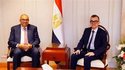 تمويل مبتكر ودعم عالمي.. مصر تتقدم بخطوات نحو التنمية المستدامة