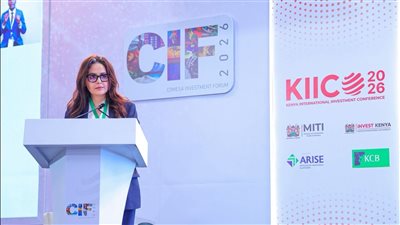 الكوميسا تفرض نفسها على خريطة الاستثمار العالمية