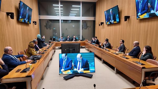 دعوة مصرية نحو تعزيز العمل العربي المشترك    