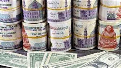 سعر الدولار اليوم في مصر.. استقرار حذر بعد قرار المركزي