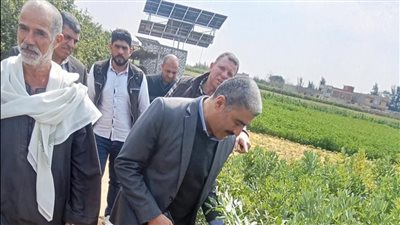 استصلاح الأراضي: حملات موسعة لحماية الرقعة الزراعية خلال مارس