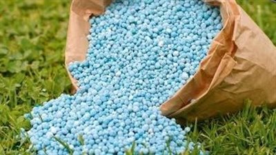 الزراعة تعلن قائمة أسعار بيع التقاوي للموسم الصيفي 2026