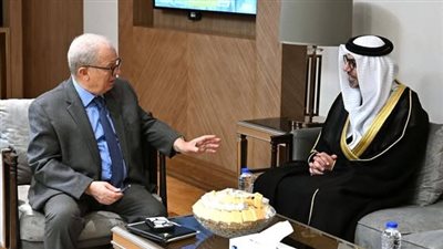 نائب رئيس الوزراء يبحث مع السفير الإماراتي تعزيز الاستثمارات المشتركة