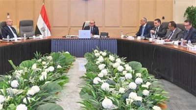 وزير الاستثمار يترأس اجتماع مجموعة العمل المصرية الكورية لبحث مشروعات استثمارية