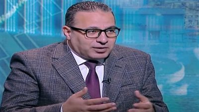 الخبير الاقتصادي محمد عبد الهادي 