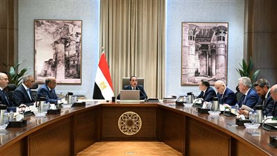 مدبولي يبحث مع مدير 