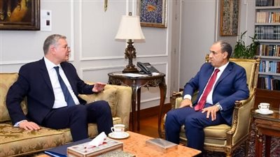 وزيرا الخارجية والبترول يبحثان جذب الاستثمارات الأجنبية وتعزيز التعاون في قطاع الطاقة