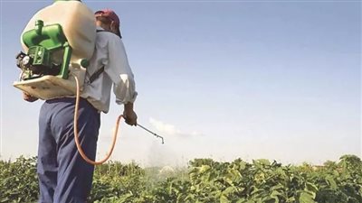 لجنة مبيدات الآفات الزراعية تكثف الرقابة وتدعم توطين الصناعة المحلية
