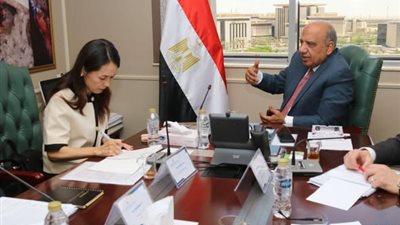 مصر واليابان تعززان شراكتهما في الطاقة المتجددة والتحول الرقمي لدعم مستقبل مستدام