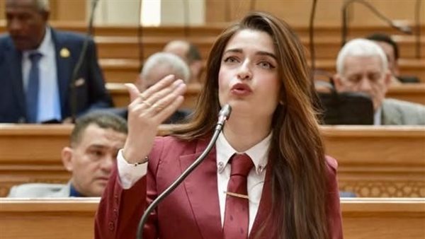 برلمانية تهاجم مشروع